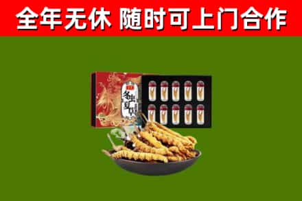 咸阳回收冬虫夏草价格